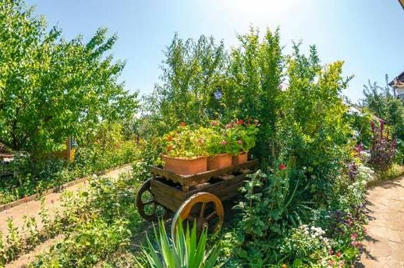 Изображение Изображение гостиницы &quot;Гостевой дом «Солнечная Долина»&quot; #3 #1