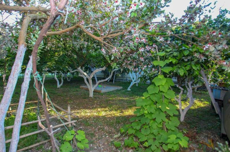 Изображение Изображение гостиницы &quot;Гостевой дом «У Арама»&quot; #11 #9