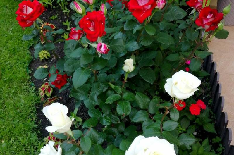 Изображение Изображение гостиницы &quot;Гостевой дом «Анастасия»&quot; #3 #1