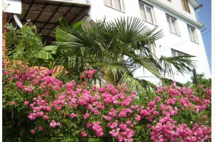 Изображение Изображение гостиницы &quot;Гостевой дом «Эрика»&quot; #3 #1