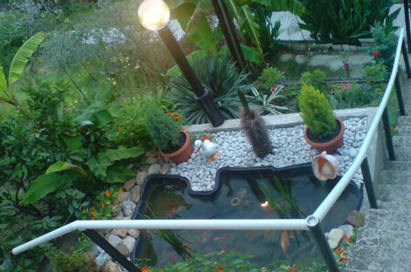 Изображение Изображение гостиницы &quot;Гостевой дом «Эрика»&quot; #7 #5