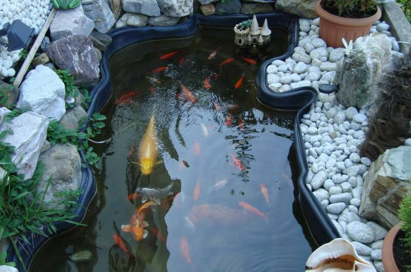 Изображение Изображение гостиницы &quot;Гостевой дом «Эрика»&quot; #10 #8