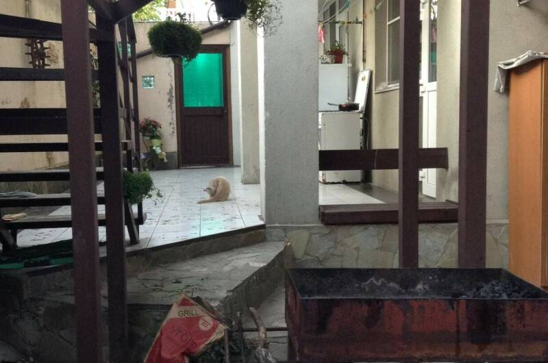 Изображение Изображение квартиры &quot;Дом под ключ «Едем к нам»&quot; #6 #4