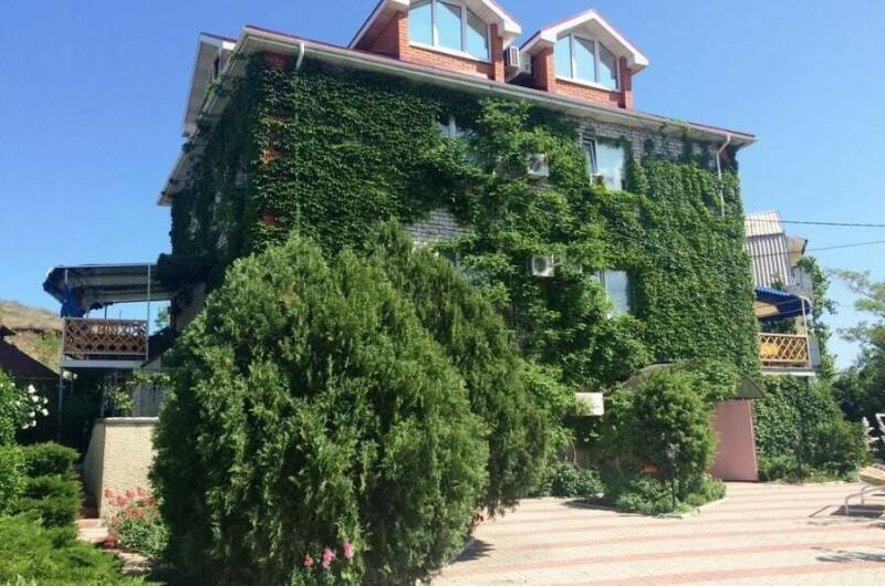 Изображение гостиницы "Гостевой дом «Елки»" #1