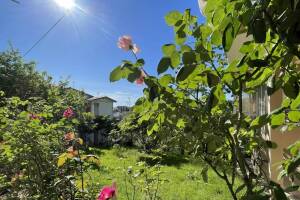 Изображение отеля / гостиницы "Гостевой дом «Анаида»"