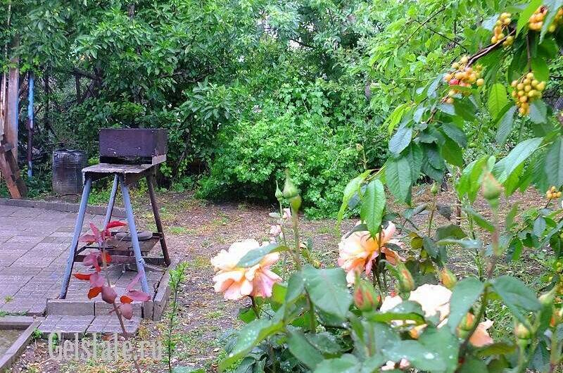 Изображение Изображение гостиницы &quot;Частные домики «у Маргариты»&quot; #9 #7