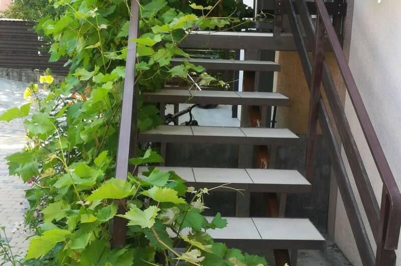 Изображение Изображение квартиры &quot;Дом на Тонком мысе&quot; #11 #9