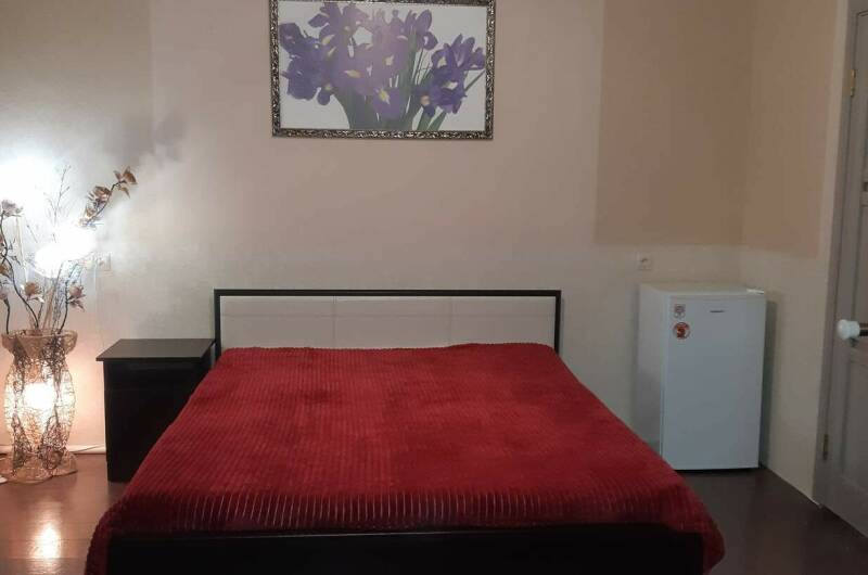 Изображение Изображение гостиницы &quot;Гостевой дом «Жоэквара»&quot; #7 #5