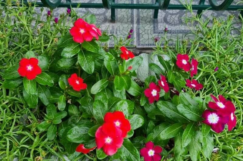 Изображение Изображение гостиницы &quot;Вилла «Ольга»&quot; #6 #4