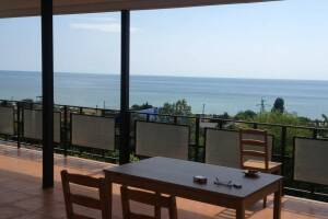 Изображение отеля / гостиницы "Гостевой дом «Пальмира»"