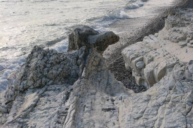 Изображение Изображение гостиницы &quot;Гостевой дом «Пальмира»&quot; #8 #6