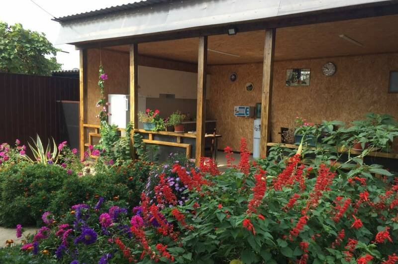 Изображение Изображение гостиницы &quot;Гостевой дом «Пальмира»&quot; #11 #9