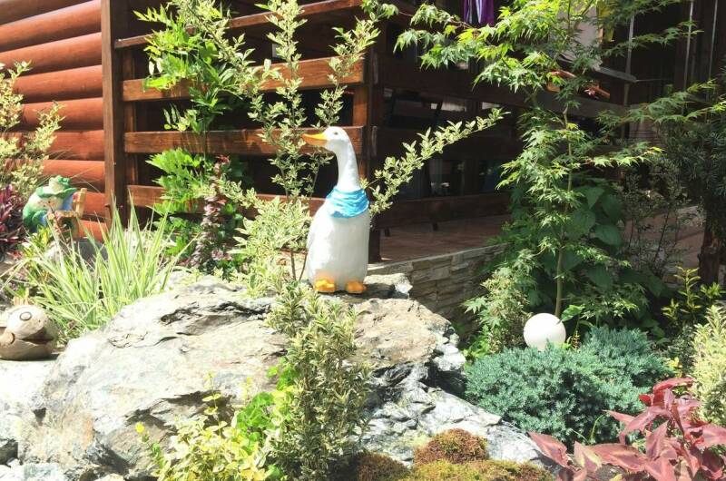 Изображение гостиницы "Эко-отель «Затерянный рай»" #1