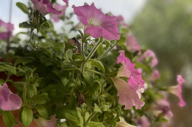 Изображение Изображение гостиницы &quot;Эко-отель «Затерянный рай»&quot; #3 #1