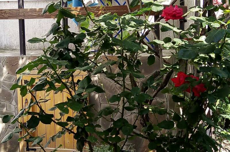 Изображение Изображение квартиры &quot;Часть дома «под ключ»&quot; #4 #2