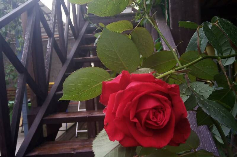 Изображение Изображение квартиры &quot;Часть дома «под ключ»&quot; #6 #4