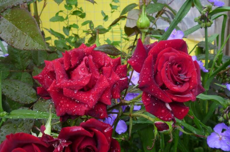 Изображение Изображение квартиры &quot;Часть дома «под ключ»&quot; #7 #5