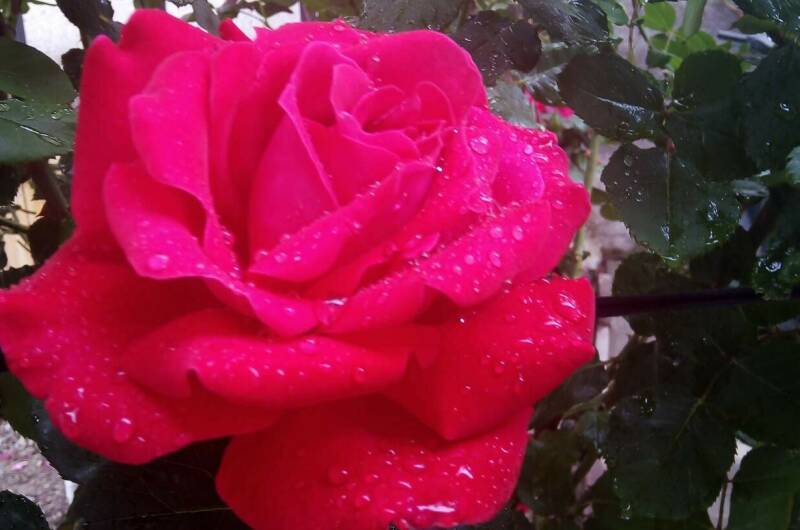 Изображение Изображение квартиры &quot;Часть дома «под ключ»&quot; #8 #6