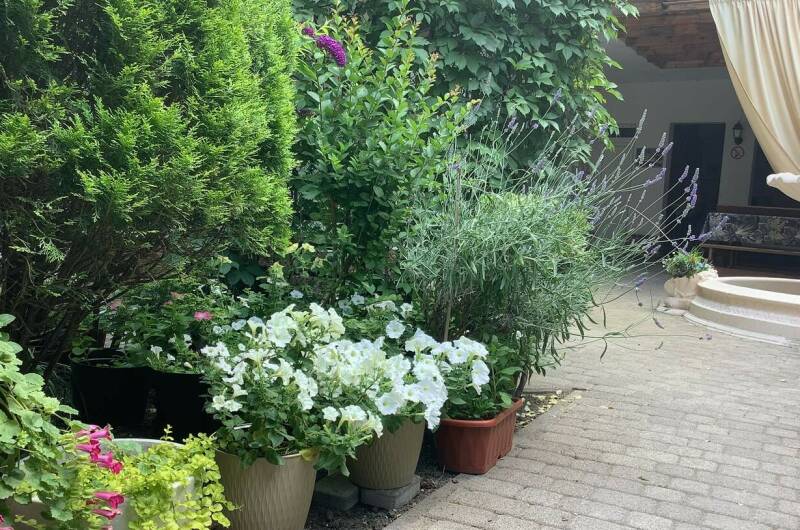 Изображение гостиницы "Гостевой дом «Гранат»" #1