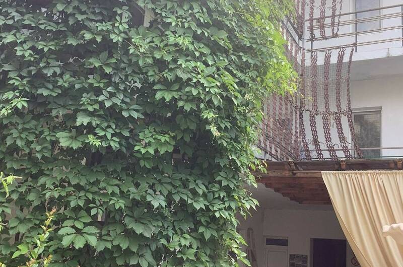 Изображение Изображение гостиницы &quot;Гостевой дом «Гранат»&quot; #9 #7