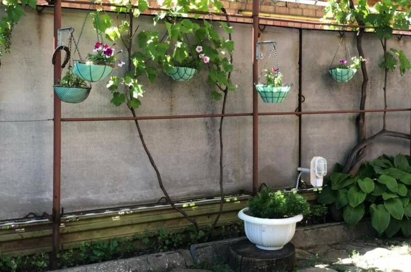 Изображение Изображение гостиницы &quot;Гостевой дом «Отдых у Ильича»&quot; #6 #4