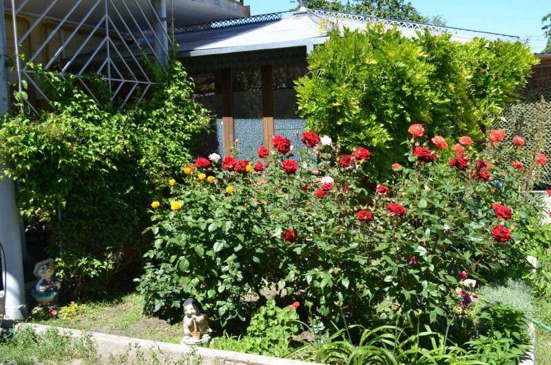 Изображение Изображение гостиницы &quot;Гостевой дом «Отдых у Ильича»&quot; #8 #6