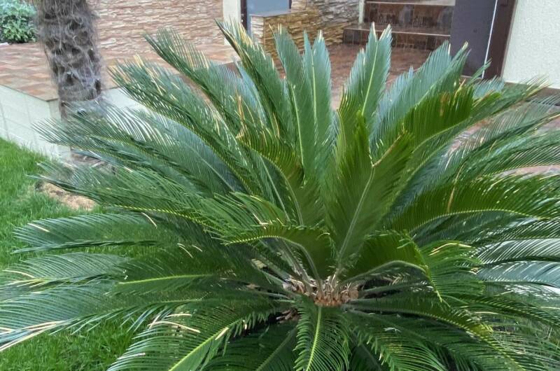 Изображение Изображение гостиницы &quot;Гостевой дом «Анна» с апартаментами&quot; #3 #1