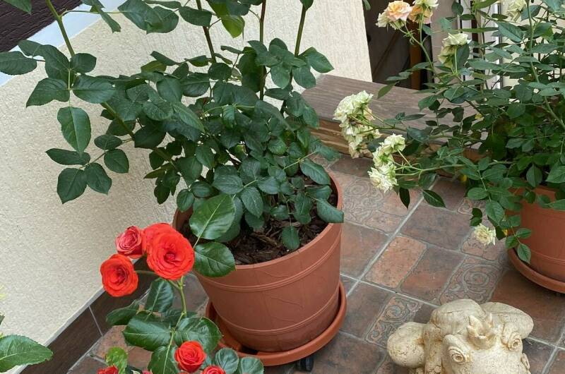 Изображение Изображение гостиницы &quot;Гостевой дом «Анна» с апартаментами&quot; #5 #3