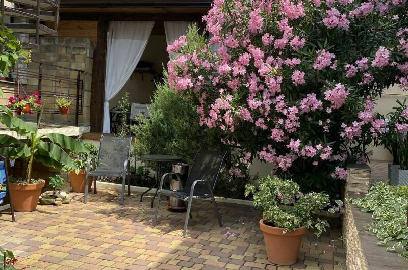 Изображение Изображение гостиницы &quot;Гостевой дом «Анна» с апартаментами&quot; #7 #5