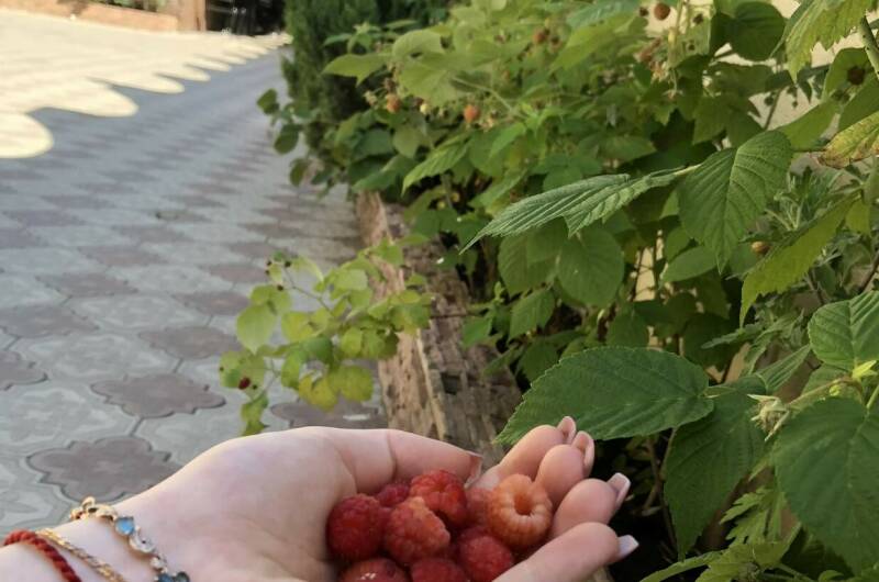 Изображение Изображение гостиницы &quot;Частный сектор «Дом у реки»&quot; #6 #4