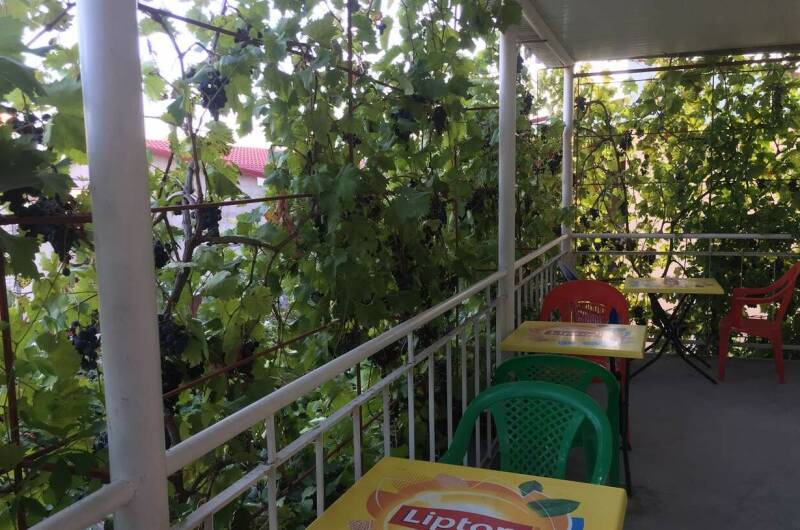 Изображение Изображение гостиницы &quot;Гостевой дом «Зеленый дворик»&quot; #8 #6