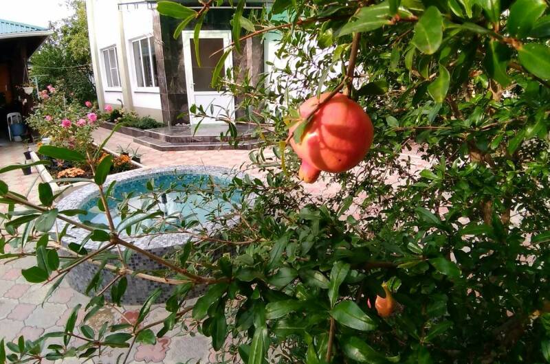 Изображение Изображение гостиницы &quot;Частное домовладение «Иваныч»&quot; #10 #8