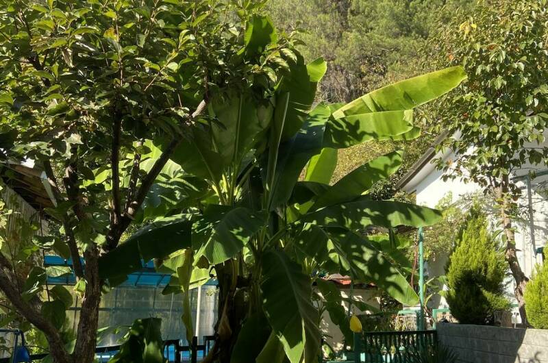 Изображение Изображение гостиницы &quot;Гостевой дом «Ника»&quot; #7 #5