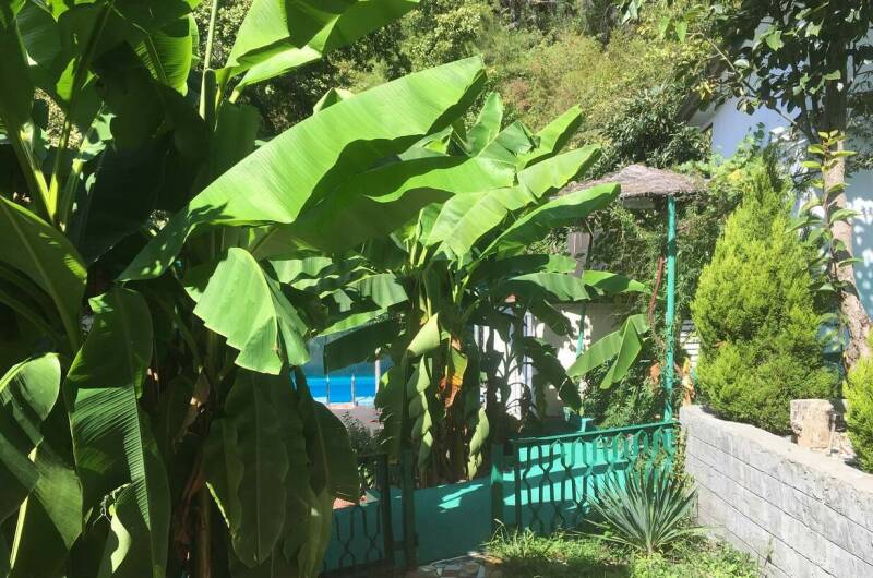 Изображение Изображение гостиницы &quot;Гостевой дом «Ника»&quot; #9 #7