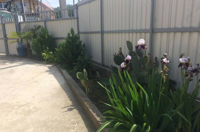 Изображение Изображение гостиницы &quot;Гостевой дом «Магнолия»&quot; #7 #5