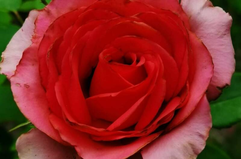 Изображение Изображение гостиницы &quot;Гостевой дом «Анна»&quot; #3 #1