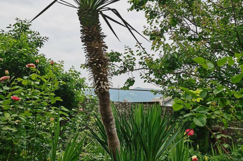 Изображение Изображение гостиницы &quot;Гостевой дом «Анна»&quot; #4 #2