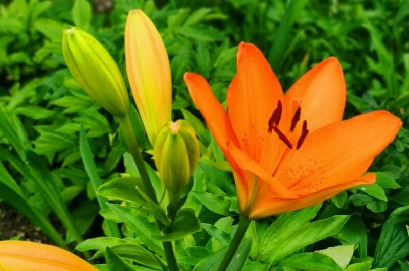 Изображение Изображение гостиницы &quot;Гостевой дом «Анна»&quot; #8 #6