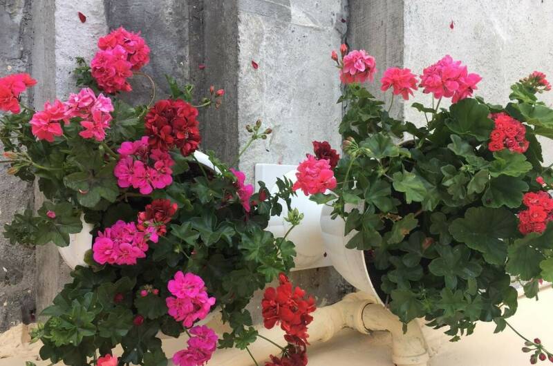 Изображение Изображение гостиницы &quot;Гостевой дом «У Аси»&quot; #11 #9