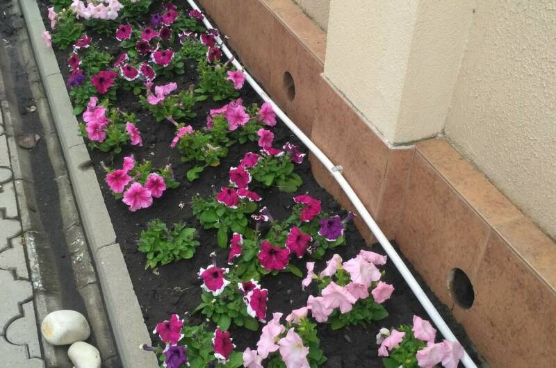 Изображение Изображение гостиницы &quot;Гостевой дом «Светлана»&quot; #4 #2