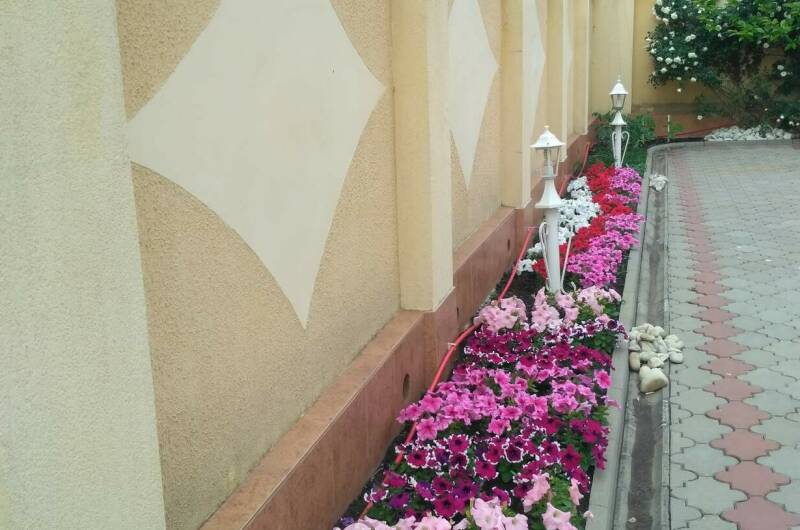 Изображение Изображение гостиницы &quot;Гостевой дом «Светлана»&quot; #7 #5