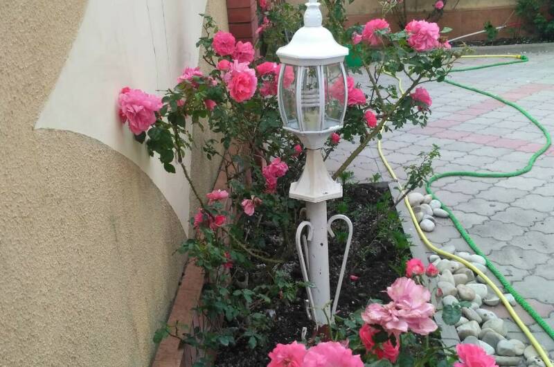 Изображение Изображение гостиницы &quot;Гостевой дом «Светлана»&quot; #9 #7