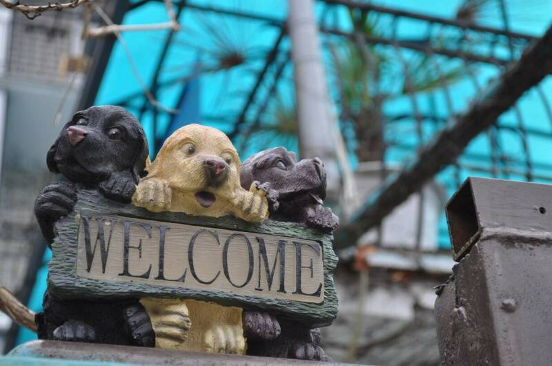 Изображение гостиницы "Гостиница «Нина»" #1