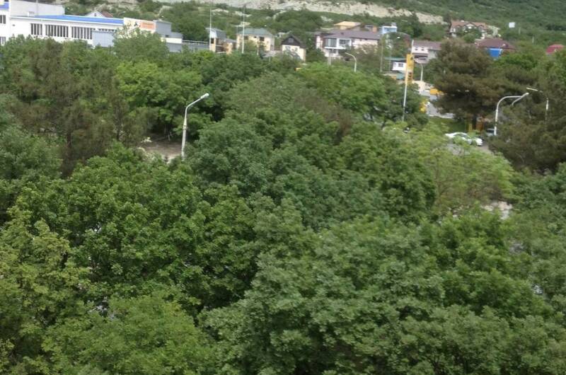 Изображение Изображение квартиры &quot;Однокомнатная квартира&quot; #6 #4