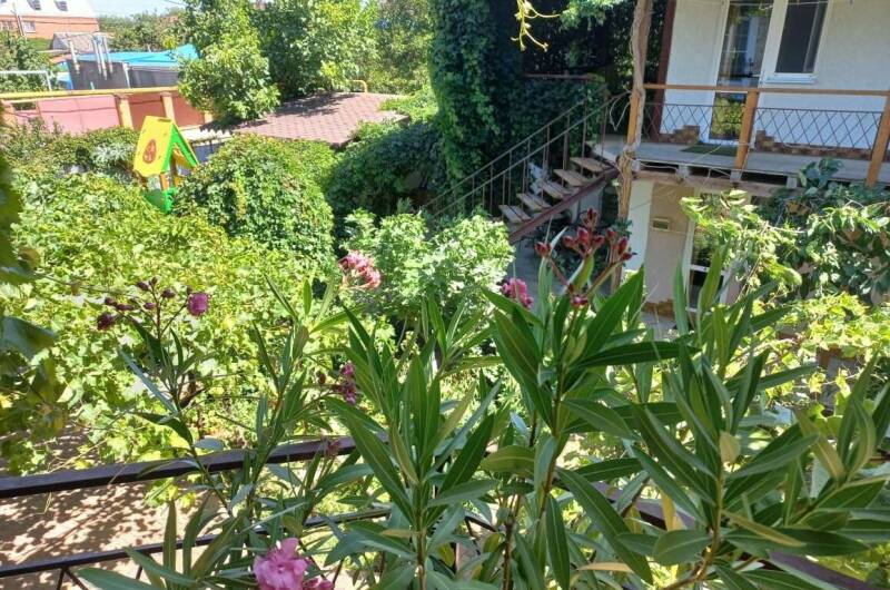 Изображение Изображение гостиницы &quot;Гостевой дом «Зелёный дворик»&quot; #10 #8