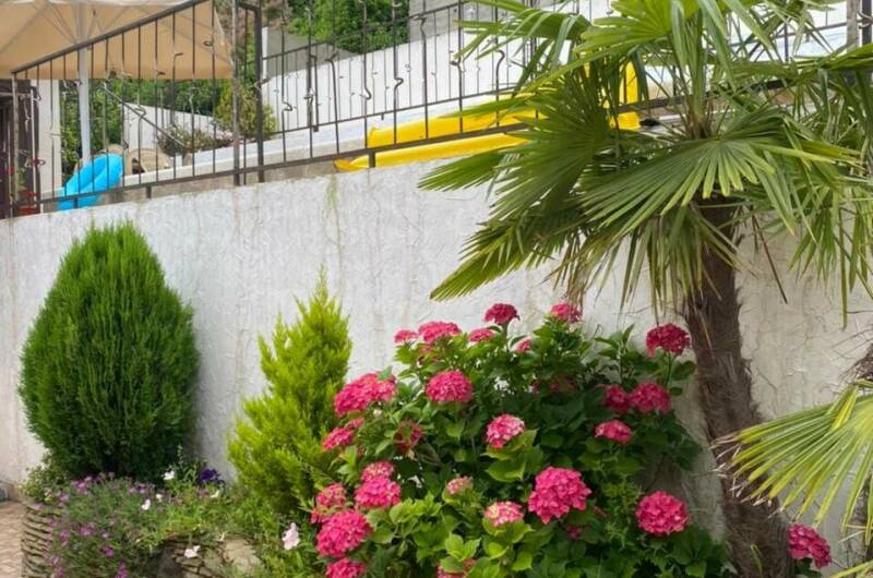 Изображение Изображение гостиницы &quot;Частный сектор «Ажен»&quot; #3 #1