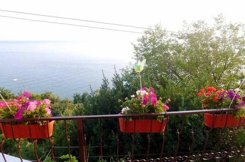 Изображение Изображение гостиницы &quot;Частный сектор «Ажен»&quot; #4 #2