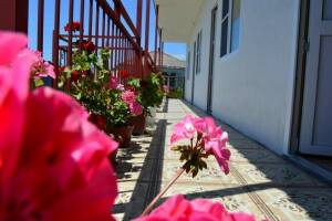 Изображение отеля / гостиницы "Гостевой дом «Аррива»"