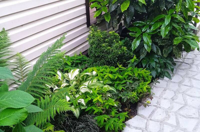 Изображение Изображение квартиры &quot;Коттедж под ключ «Бриз»&quot; #8 #6