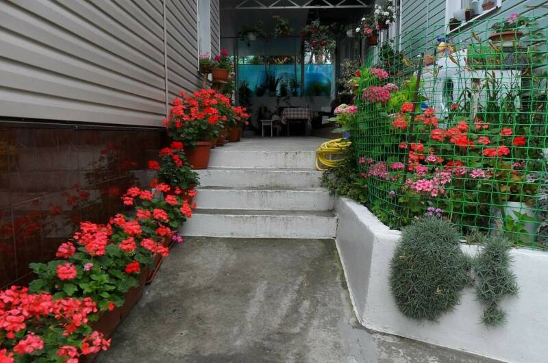 Изображение Изображение гостиницы &quot;Частный сектор «Троянда»&quot; #8 #6